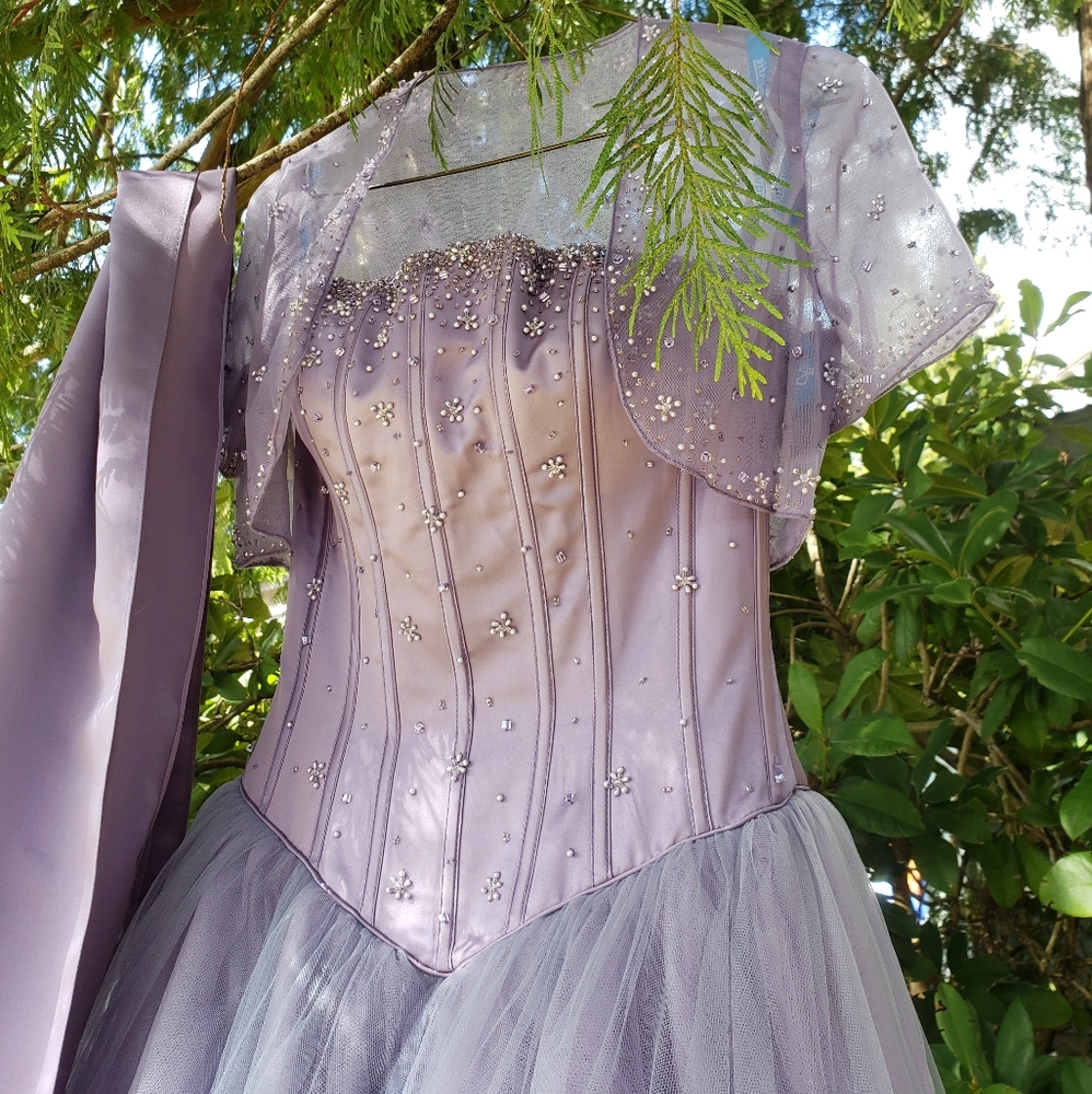 Prom / Grad Dress - Picture 15 of 16